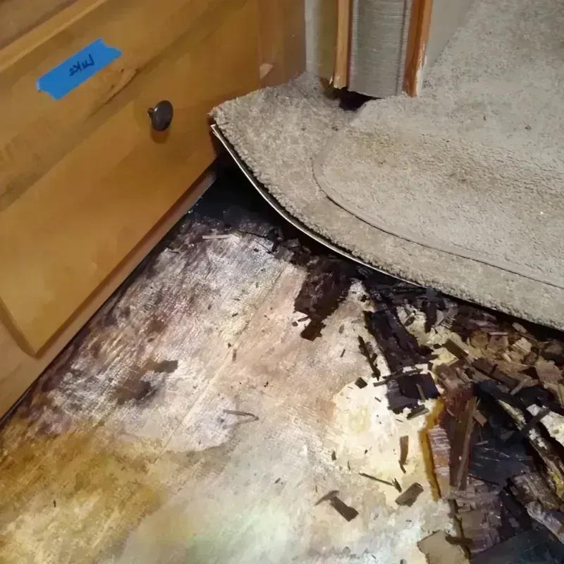 Best Wood Floor Water Damage Service in Cleveland County, AR